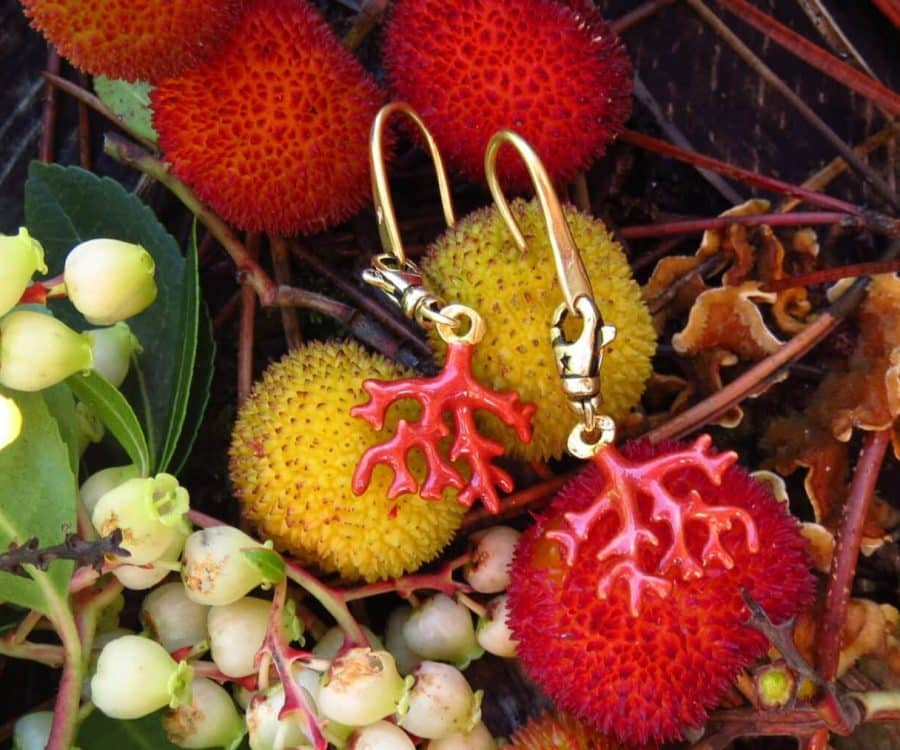 nanarella arbouses scaled qdeqg2cbw6zed1b91spy7z6yema8iywloe7djbfz2k