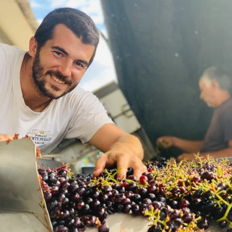 peraldi 01 770x770 1