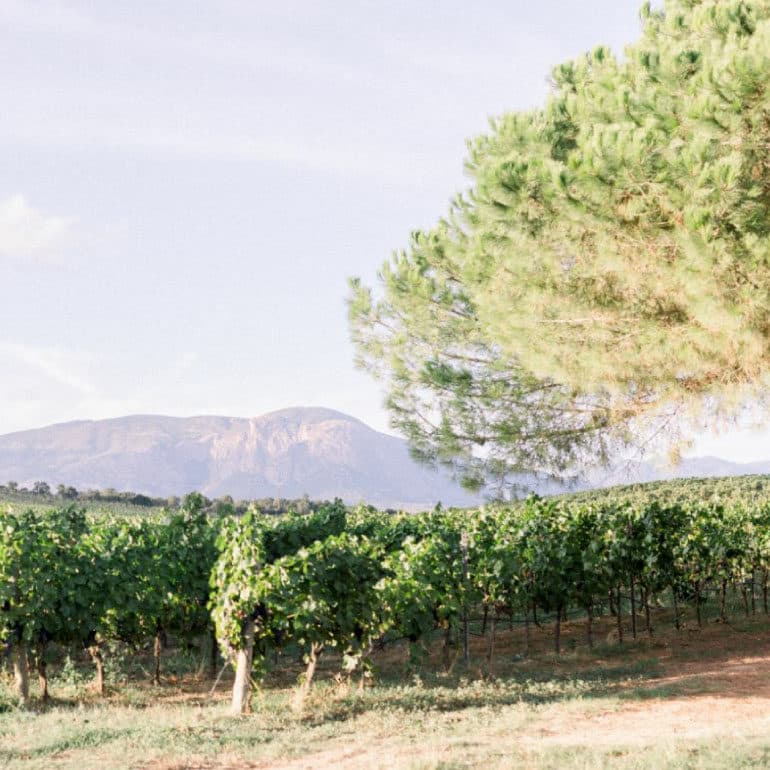 peraldi 02 770x770 1