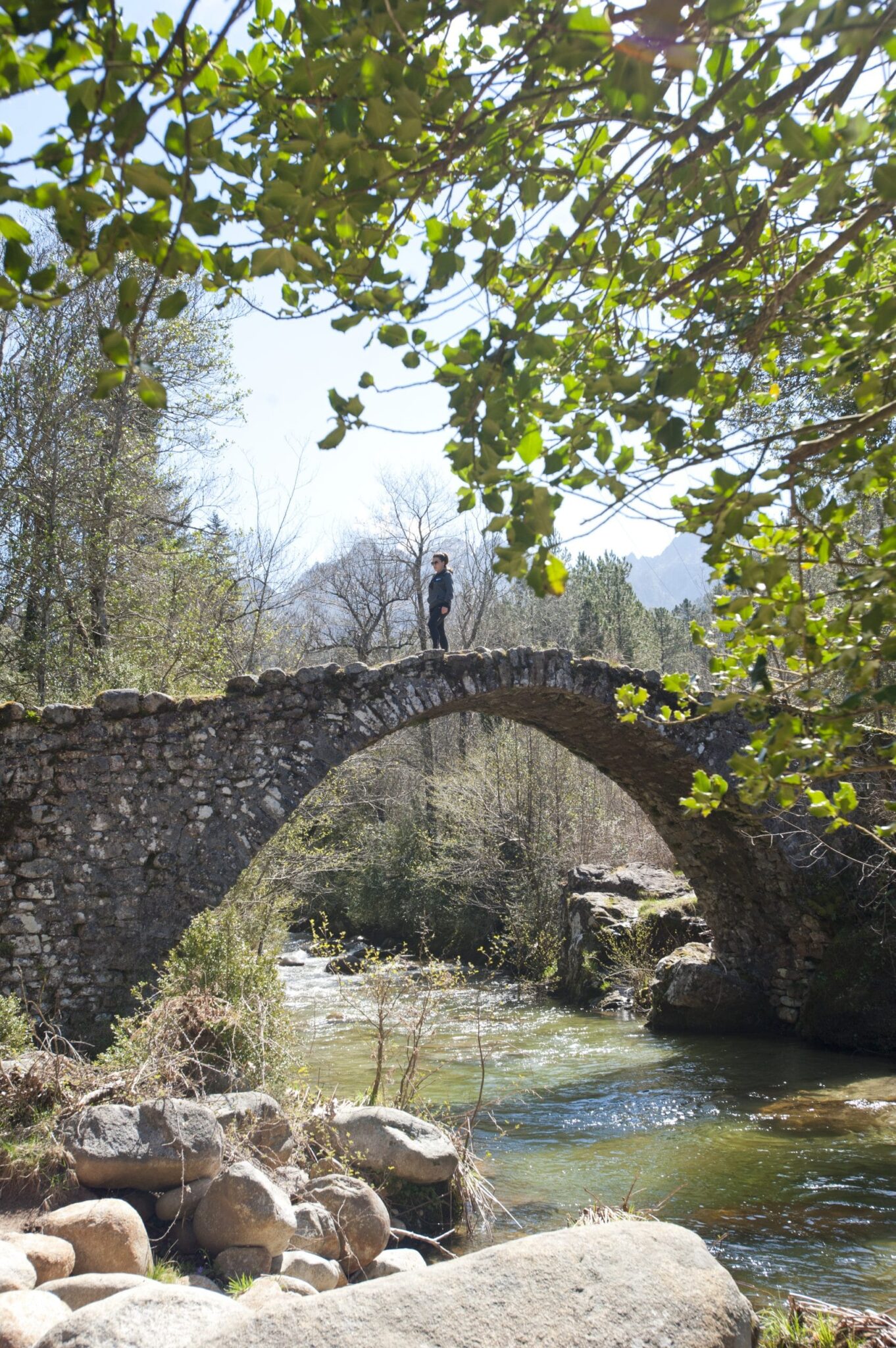 zippitoli 06 scaled 1 scaled